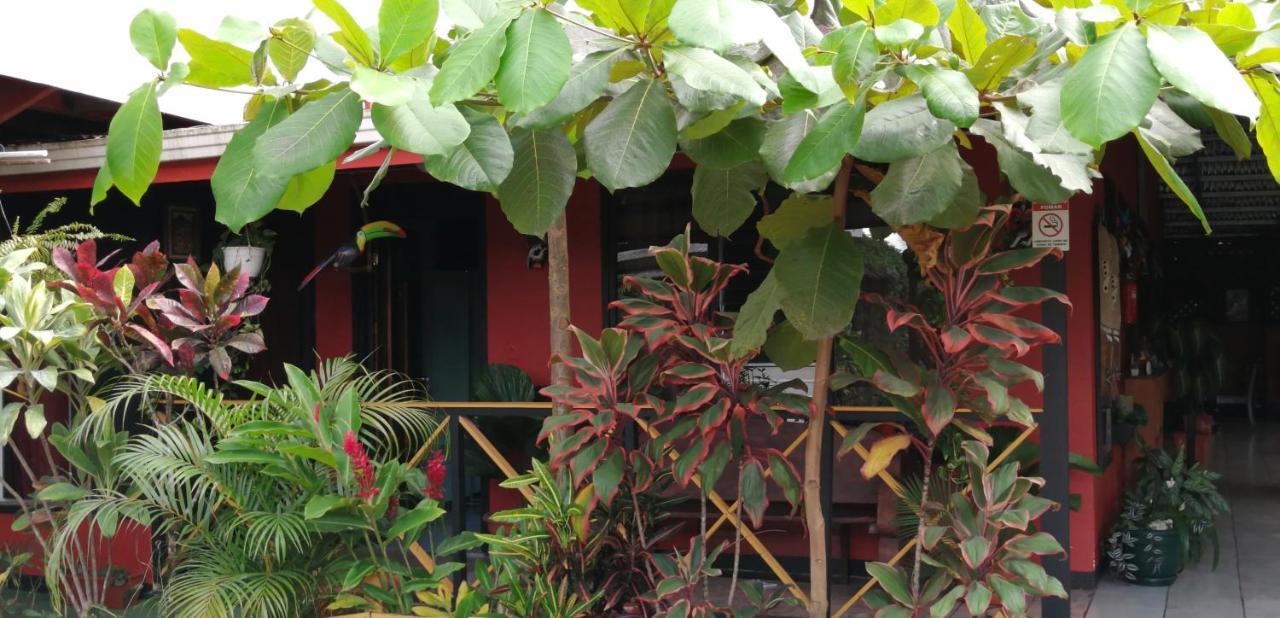 Red Frog Hotel La Fortuna المظهر الخارجي الصورة